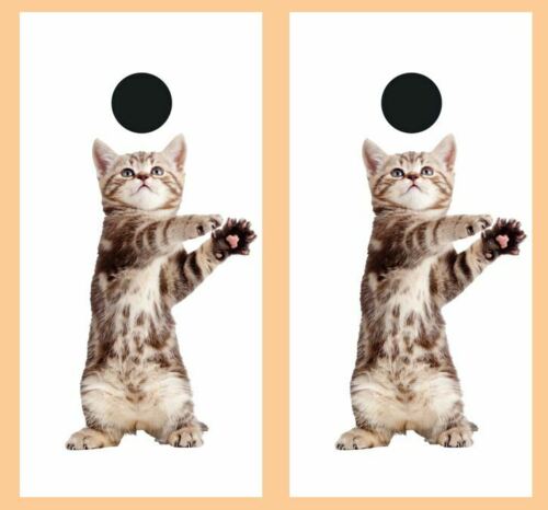 Playfull Attack Kitten Cornhole Wood Board Skin Wrap
