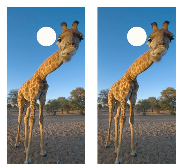 Giraffe Cornhole Wood Board Skin Wrap