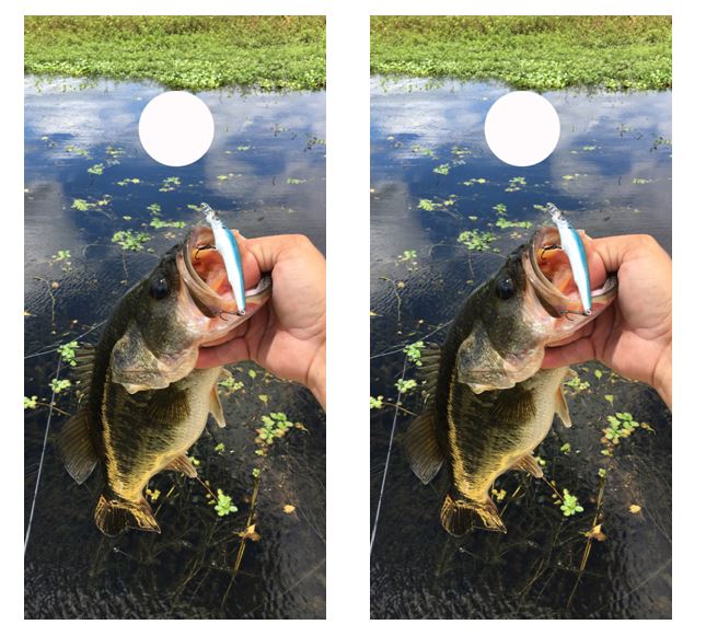 Bass Fishing Cornhole Wood Board Skin Wrap