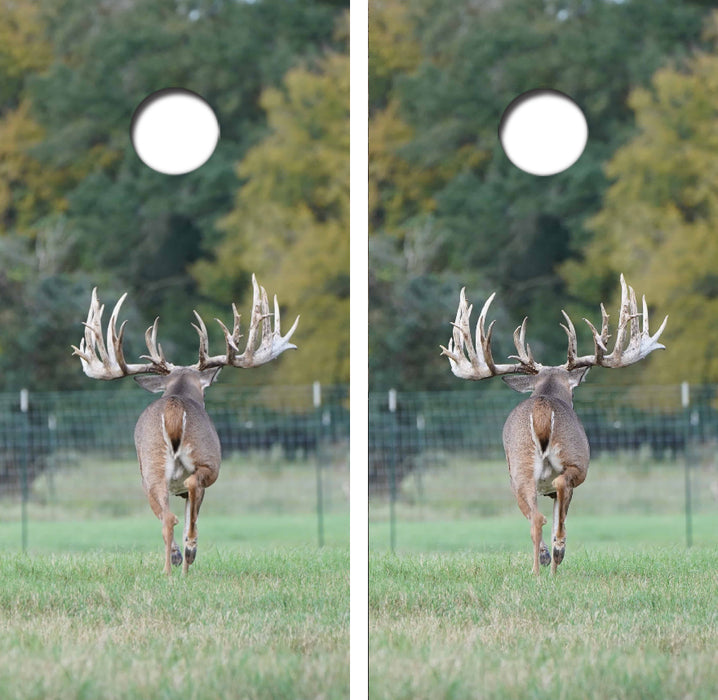 Trophy Buck w/ BIG Rack Cornhole Wrap Decal with Free Laminate Included