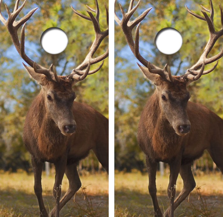 HUGE Bull Elk Cornhole Wrap Decal with Free Laminate Included