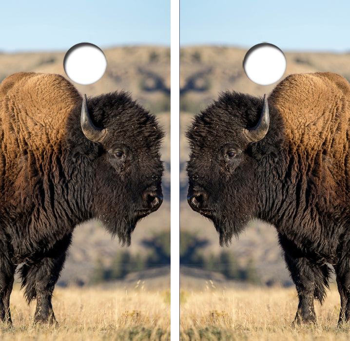 American Bison/Buffalo Cornhole Wrap Decal with Free Laminate Included