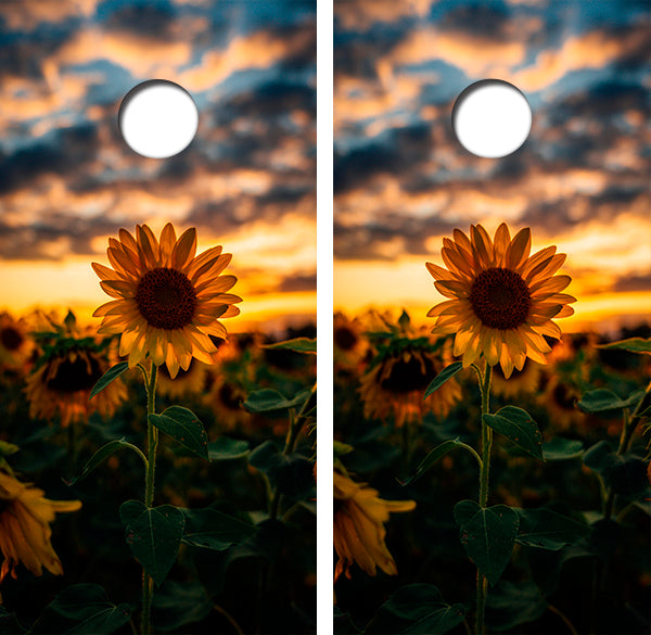 Sunflower Sunset Cornhole Wood Board Skin Wrap
