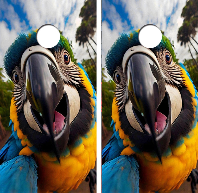 Parrot Selfie Cornhole Design