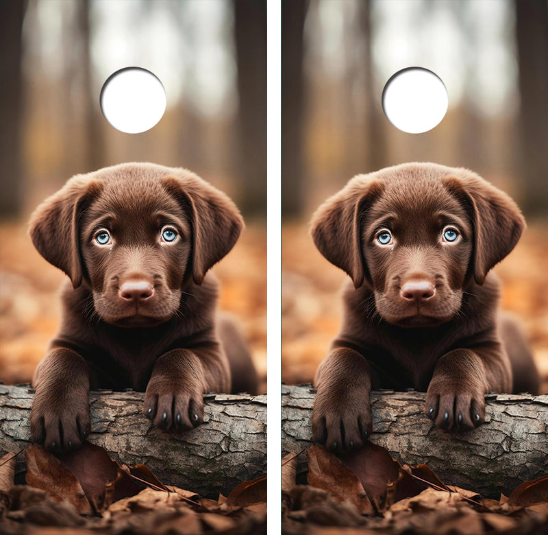 Cute Chocolate Labrador Retreive Puppy Cornhole Design