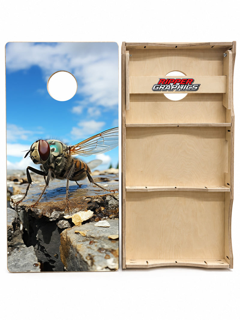 House Fly Cornhole Design