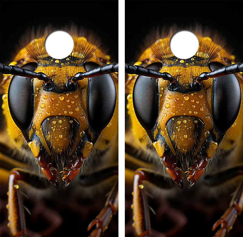 Angry Hornet Cornhole Design