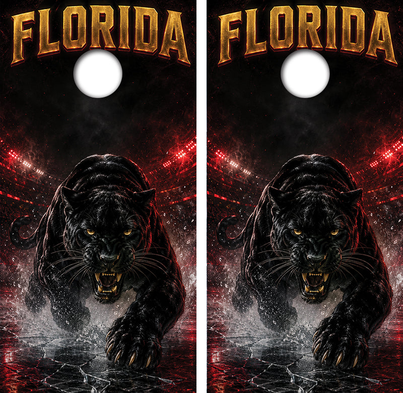 Florida Panthers Inspired Cornhole Design