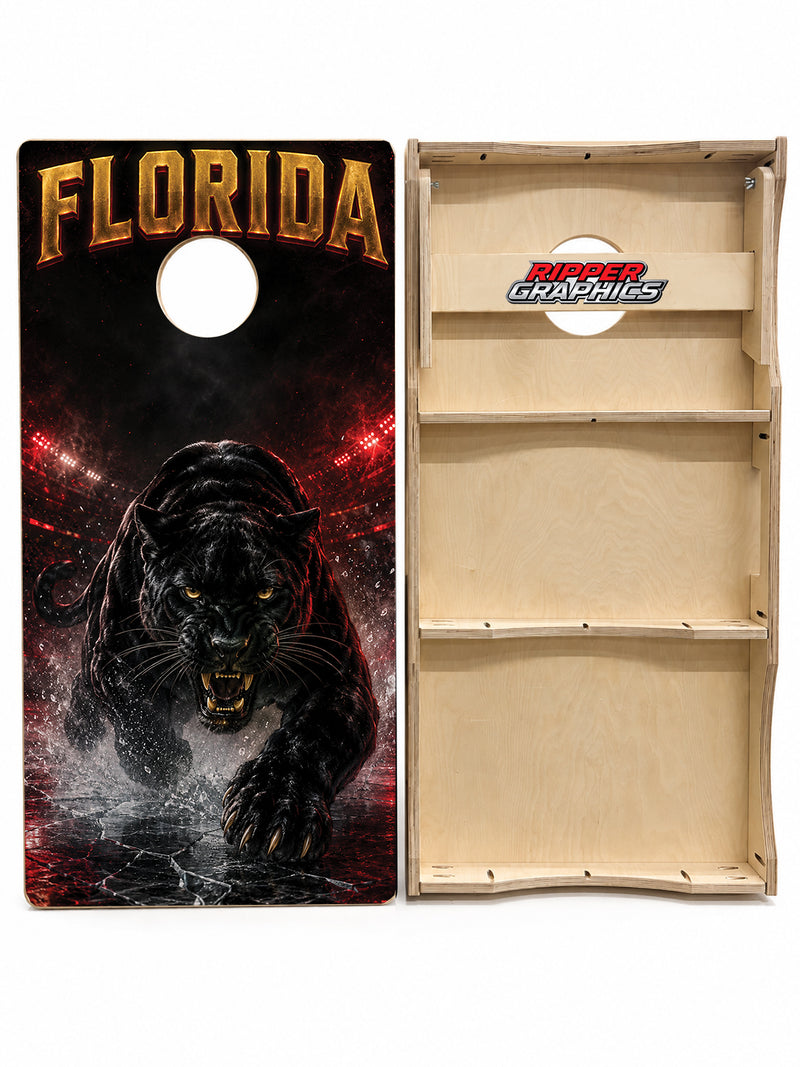 Florida Panthers Inspired Cornhole Design