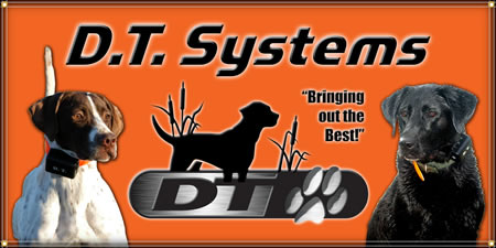 Custom Design Banners