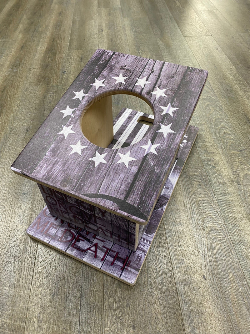 Pro Series Cornhole Airmail Practice Trainer Board