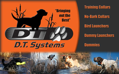 Custom Design Banners