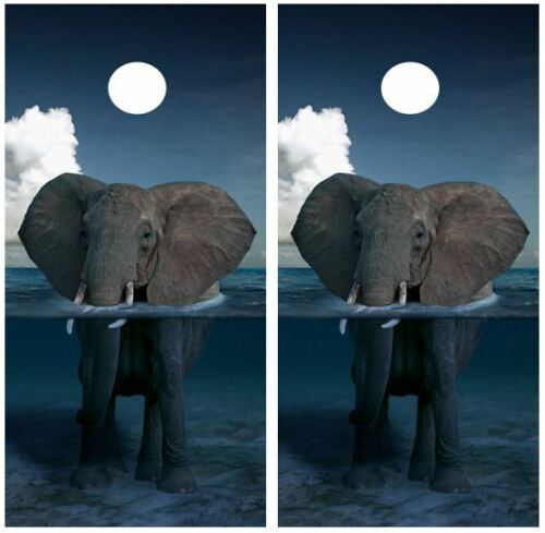 Elephant In Water Cornhole Wood Board Skin Wrap