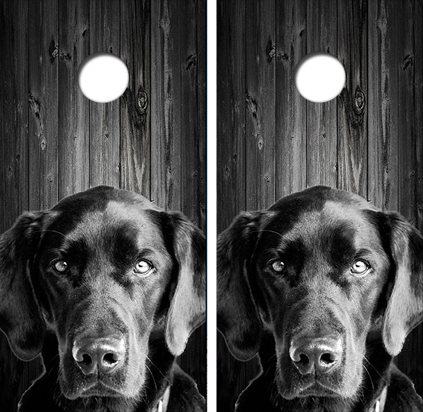 Man's Best Friend Black Lab Cornhole Design