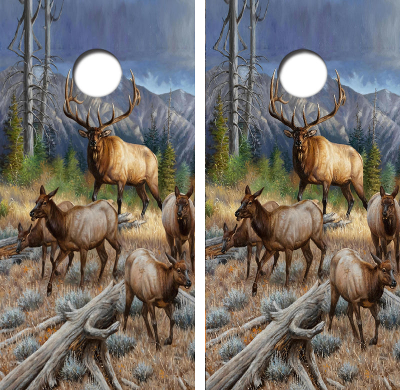 Mountain Ridge Bull Elk Cornhole Design