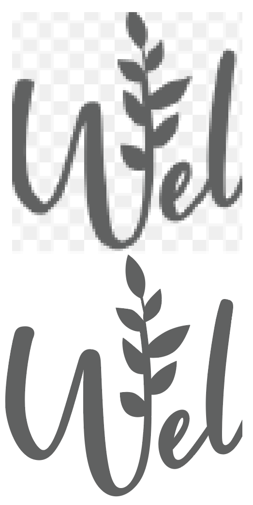 Raster to Vector Logo Redraw